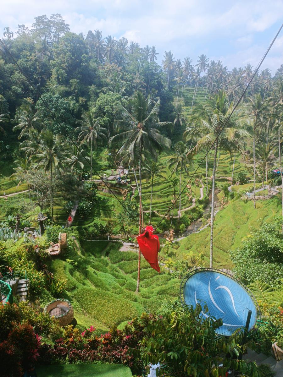 A First-Time Guide to Ubud, Bali