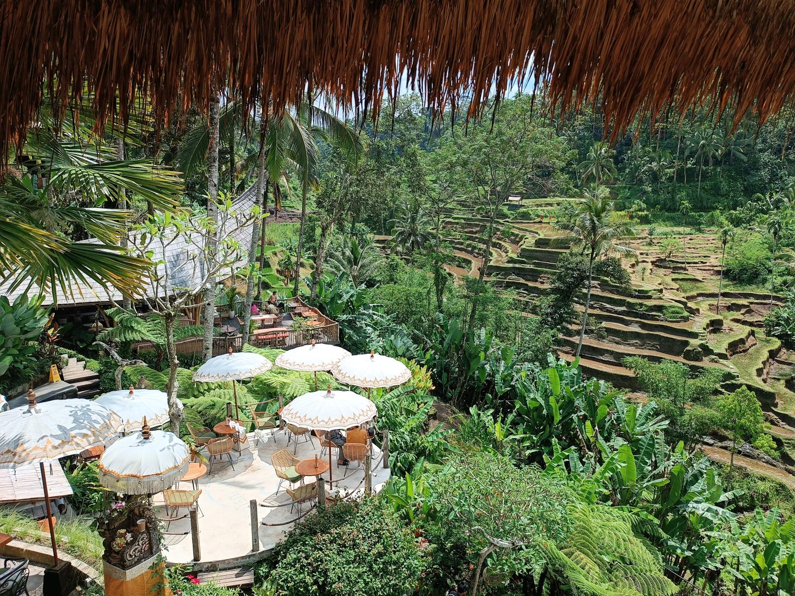 Bali for Solo Travelers: How to Plan a Comfortable Trip