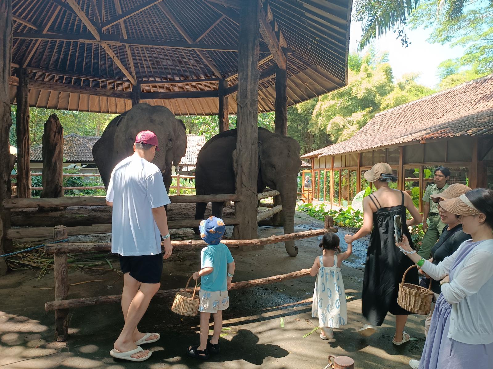 Bali Day Trips: How to Plan a Comfortable Day Tour