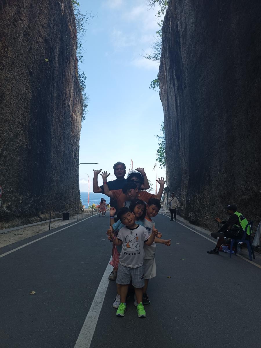 Private Bali Taxi Tours