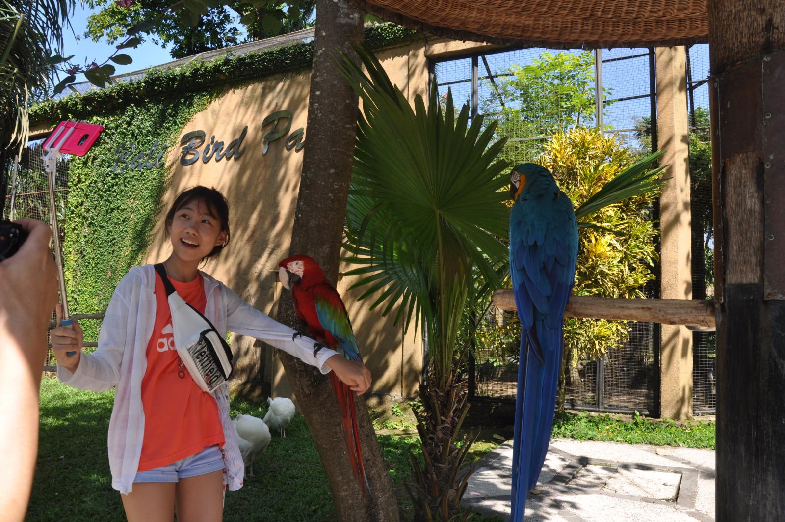 Bali Bird Park & Ubud Custom Private Day Tour