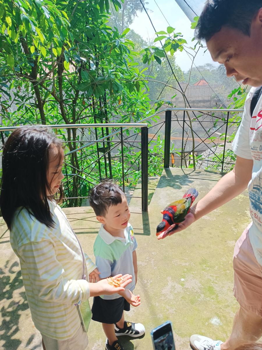 Bali Bird Park & Ubud Custom Private Day Tour