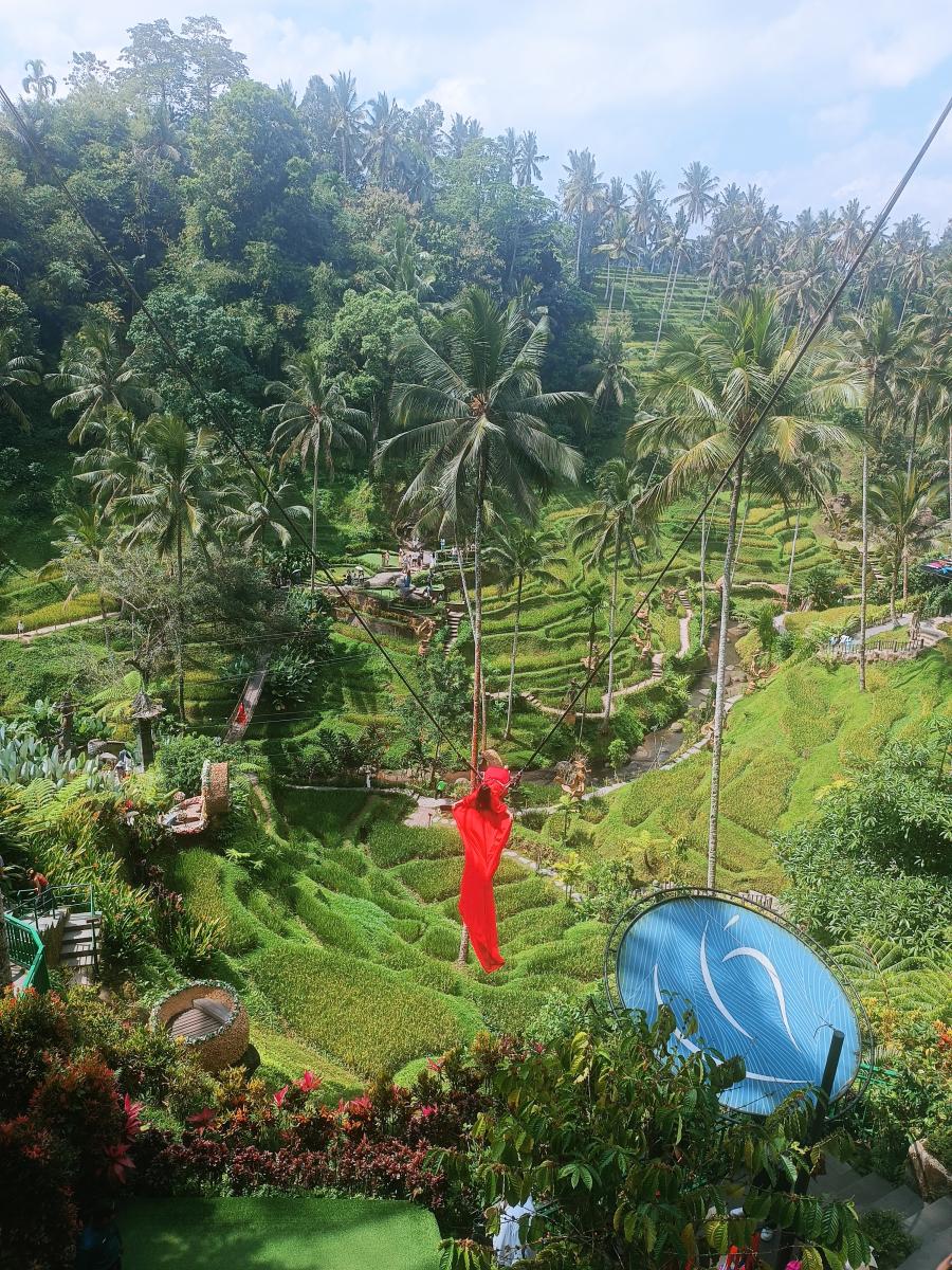 Bali Bird Park & Ubud Custom Private Day Tour
